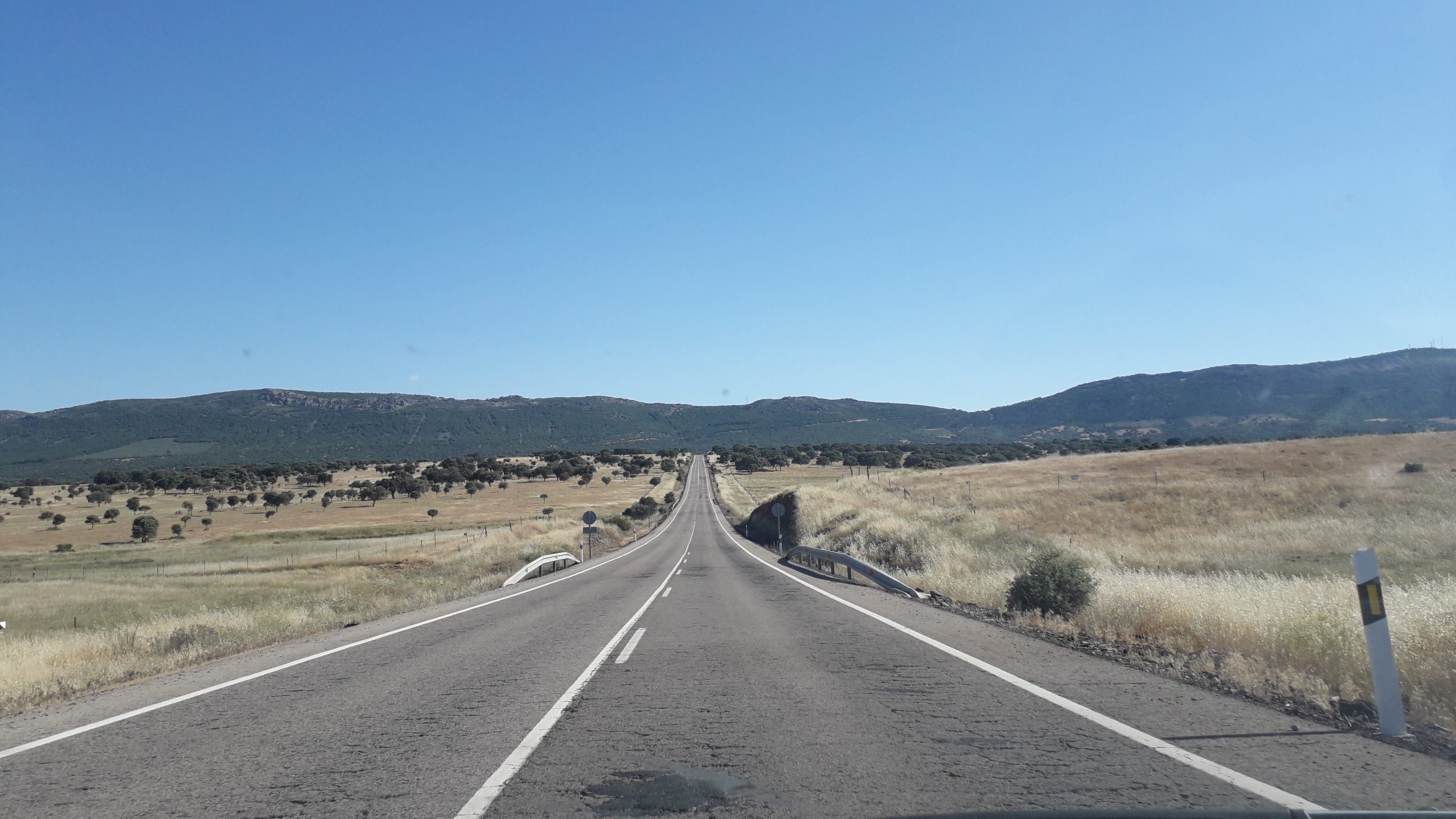 Paisaje de dehesas de encinas y horizontes montañosos en el entorno del Valle de Alcudia próximo a Almadén