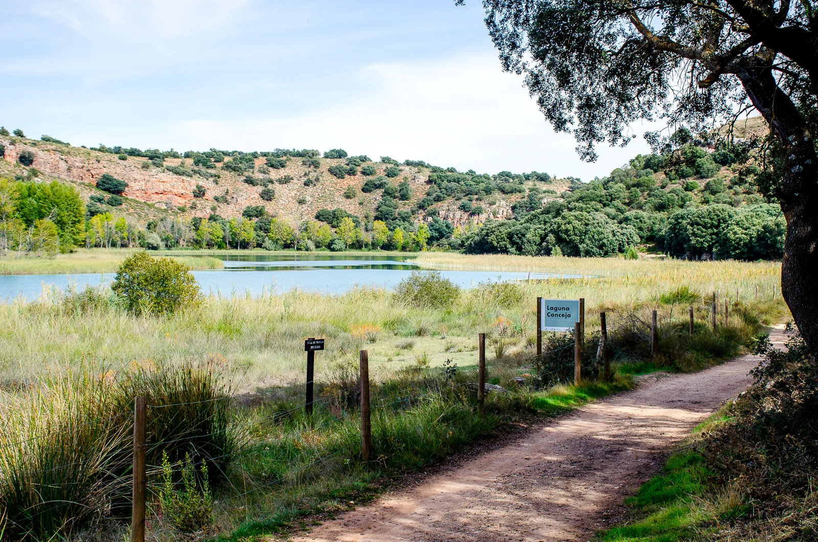 Aguas cristalinas y vegetación ribereña en calma en la Laguna Conceja, Parque Natural de las Lagunas de Ruidera