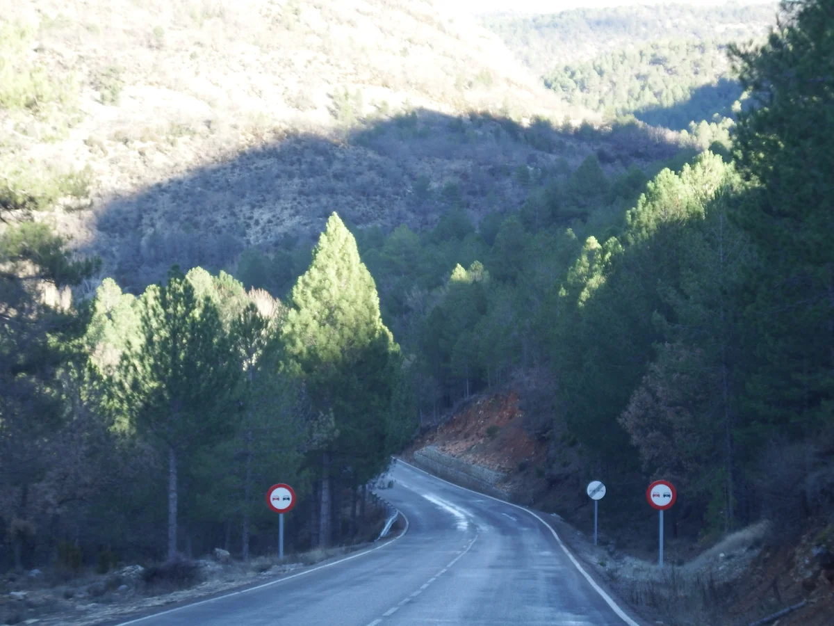 Cañón fluvial, desfiladeros calcáreos y densos pinares en el Parque Natural del Alto Tajo | Fotografía: 19Tarrestnom65 (Wikimedia Commons, CC BY-SA 4.0)